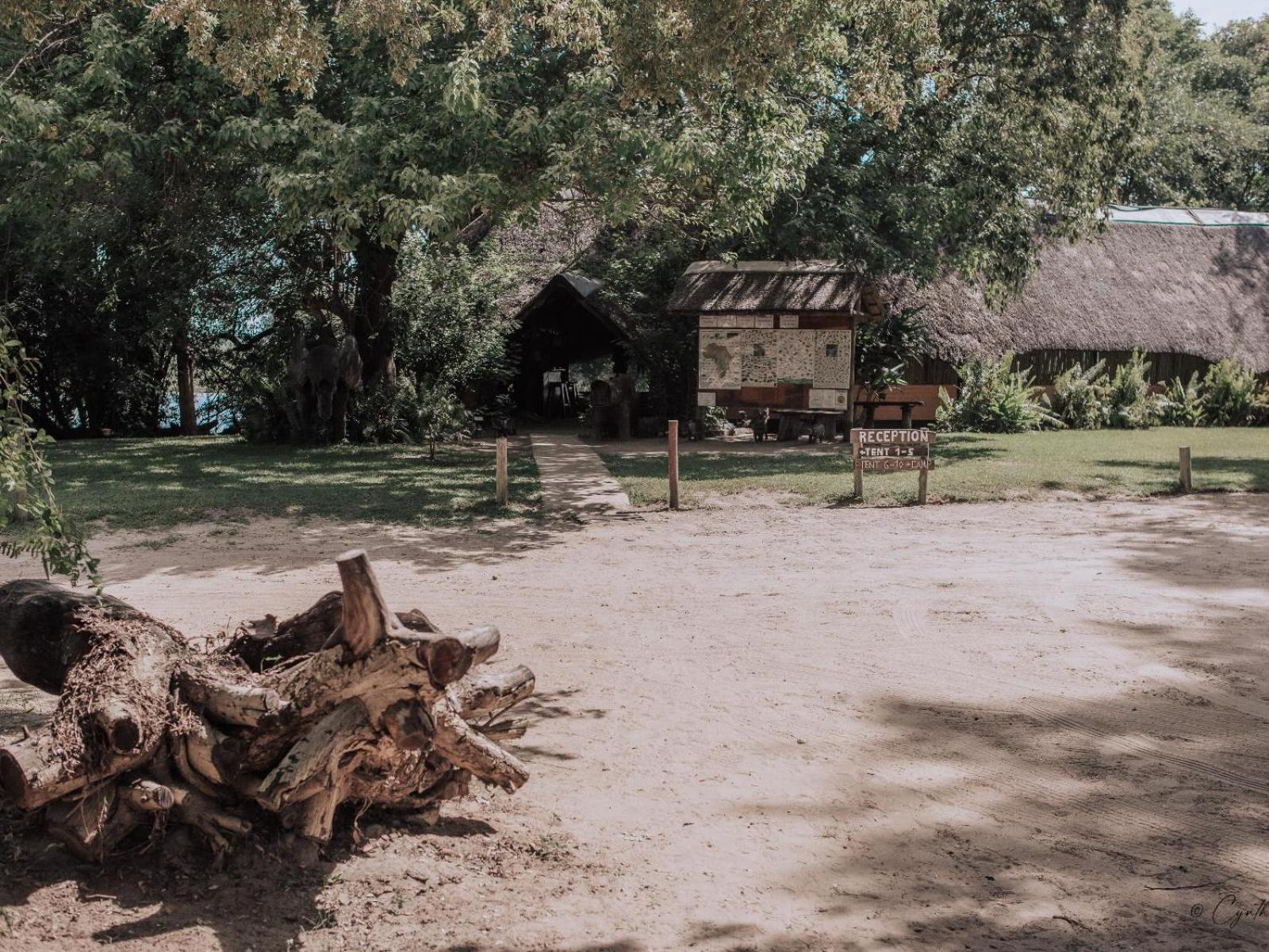 Ndhovu Safari Lodge Mahango Exterior foto
